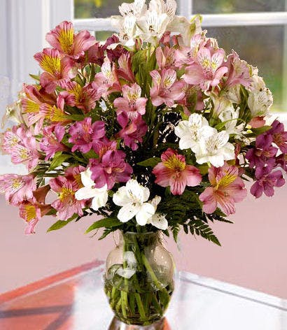 "Blooming Lilies" Hand Picked and Designed Mancuso's Florist St